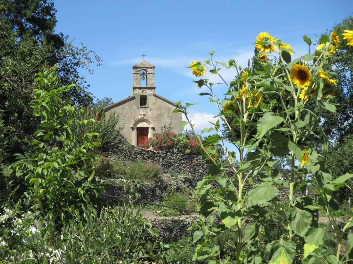 Sole E Ventu 30Qm Leilighet San-Giovanni-di-Moriani Eksteriør bilde