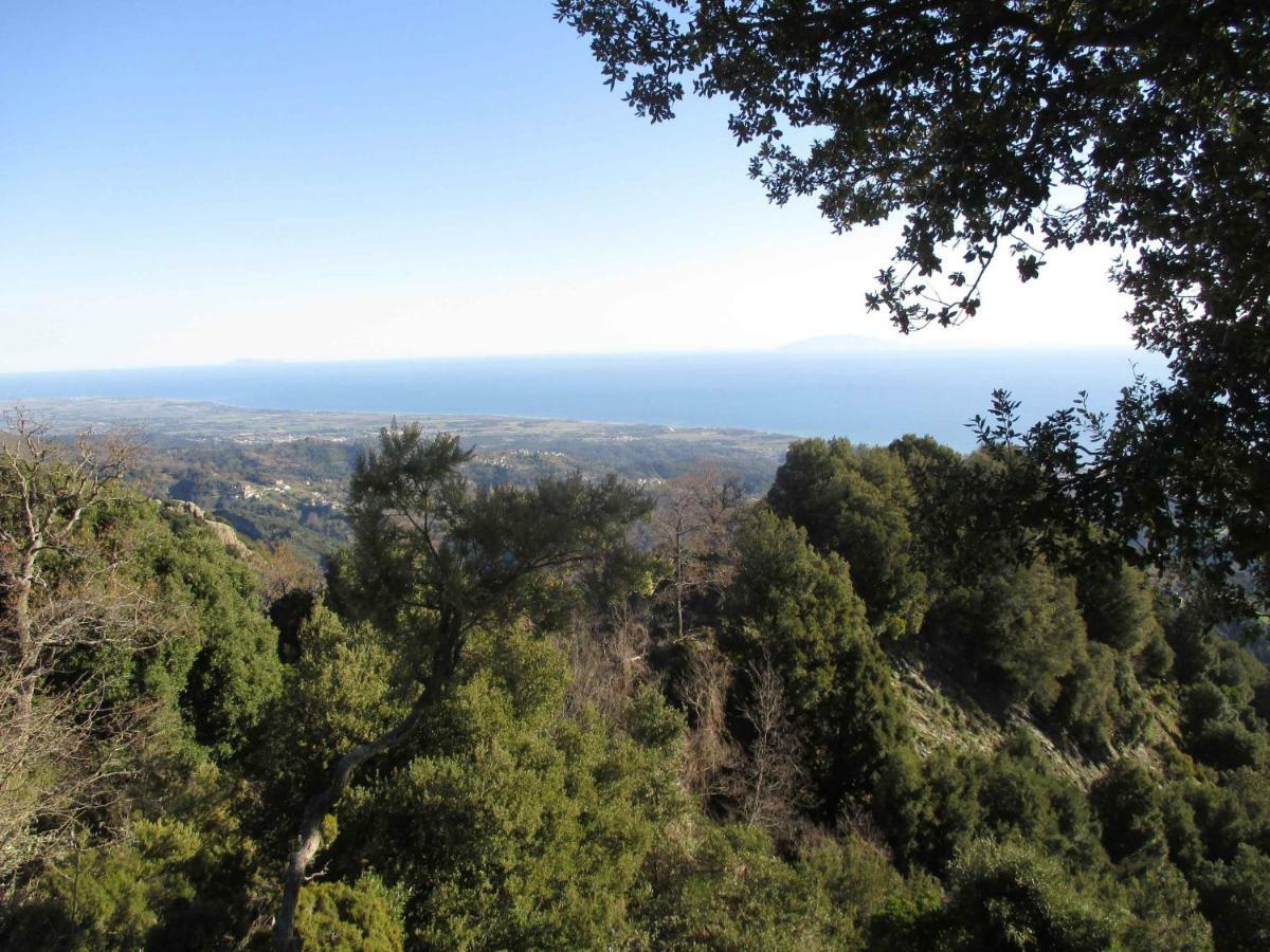 Sole E Ventu 30Qm Leilighet San-Giovanni-di-Moriani Eksteriør bilde